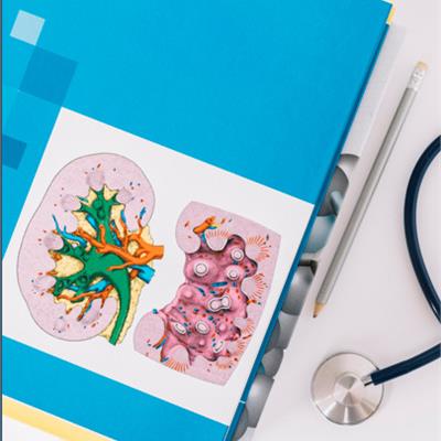 malattia renale cronica (mrc): che cos'è e come affrontarla