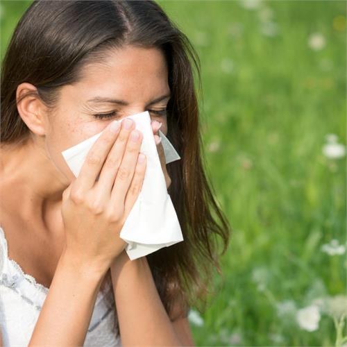 allergia stagionale: betulla e nocciolo