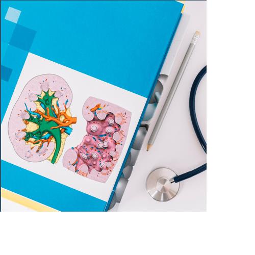 malattia renale cronica (mrc): che cos'è e come affrontarla