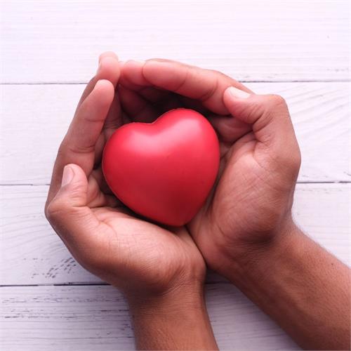 giornata mondiale del cuore: i consigli per un cuore sano 
