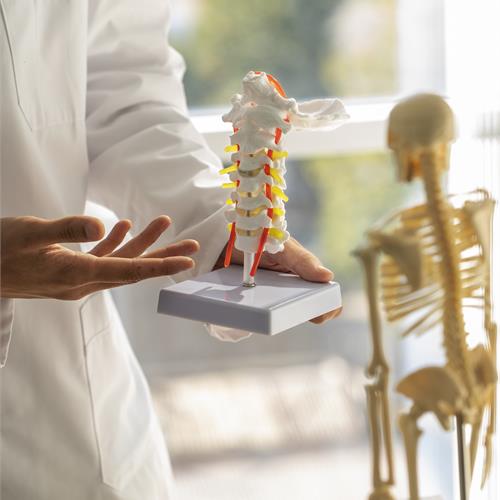 visita osteo-metabolica a lecco: cos’è e in cosa consiste