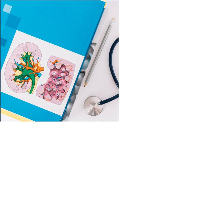 malattia renale cronica (mrc): che cos'è e come affrontarla