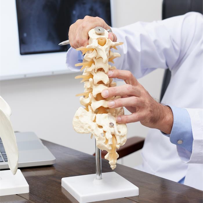 l’osteoporosi, il nemico silenzioso delle donne